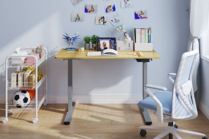 Electric Standing Desk Adjustable Height Desk Home Office Computer Workstation Sit Stand up Desk, 48 x 24 inches (Grey Frame + Maple Top)