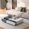 Modern style - Black and white coffee table with two storage spaces - Accent table