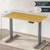 Electric Standing Desk Adjustable Height Desk Home Office Computer Workstation Sit Stand up Desk, 48 x 24 inches (Grey Frame + Maple Top)