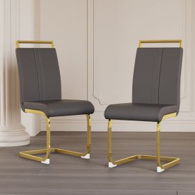 Modern Dining Chairs (Color: Grey+golden+2in1)