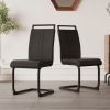 Modern Dining Chairs